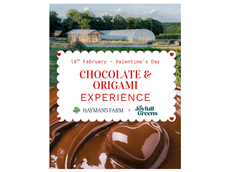 Valentine’s Day - Half-Day Chocolate & Origami Experience for Two