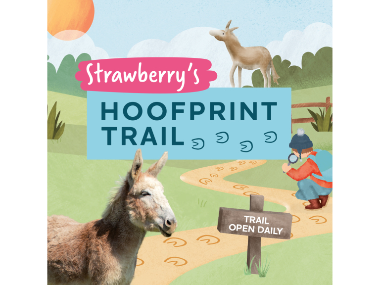 Strawberry’s Hoofprint Trail