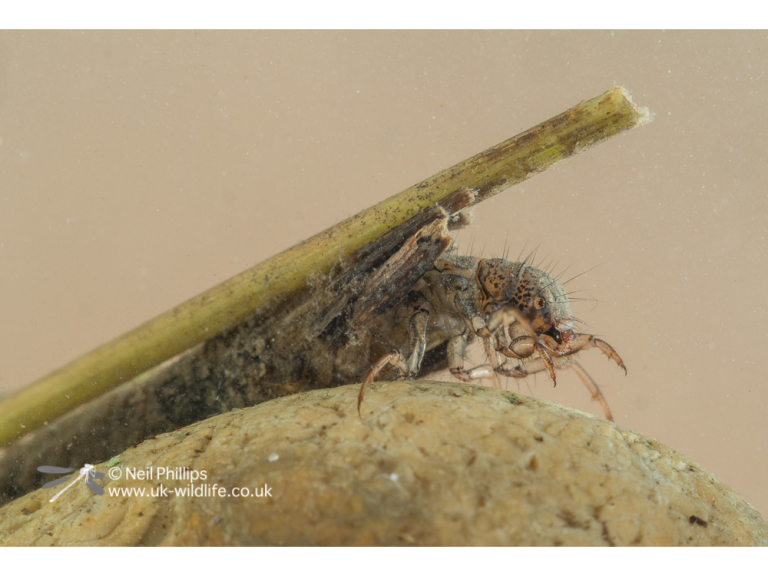 Children's Holiday Activity Day