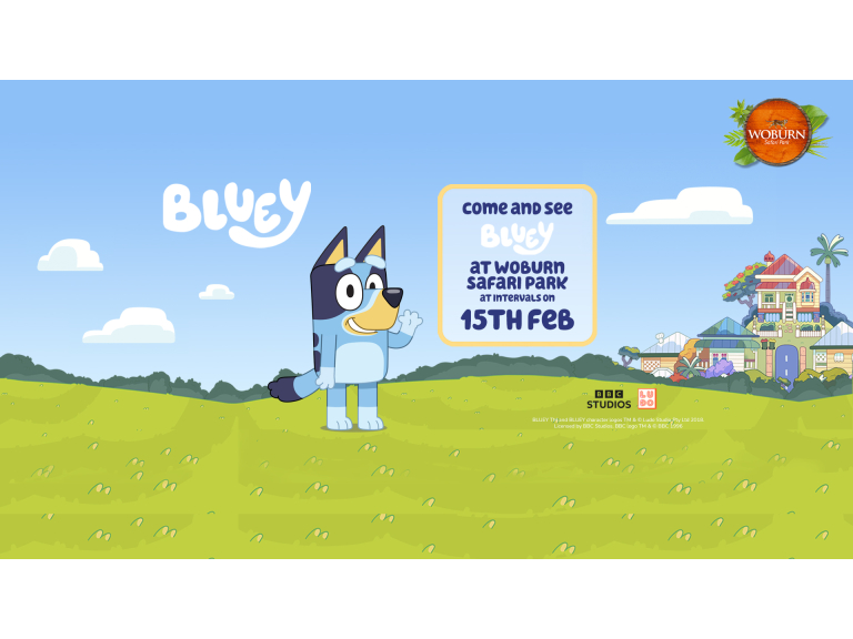 Meet Bluey at Woburn Safari Park