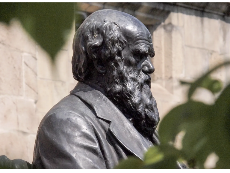 Darwin Festival 2026 in Shrewsbury – Talks, Exhibits & More