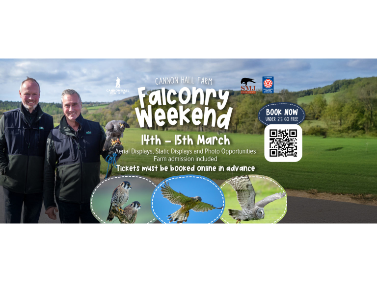 Falconry Weekend at Cannon Hall Farm