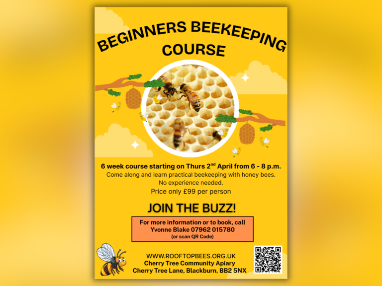 Beginners Beekeeping Course, Blackburn