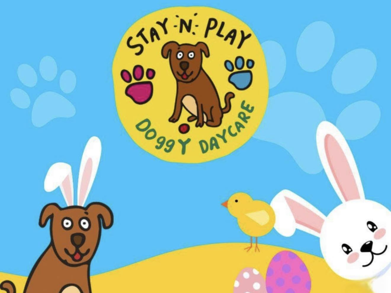 Easter Picture Day at Stay n Play Doggy Daycare