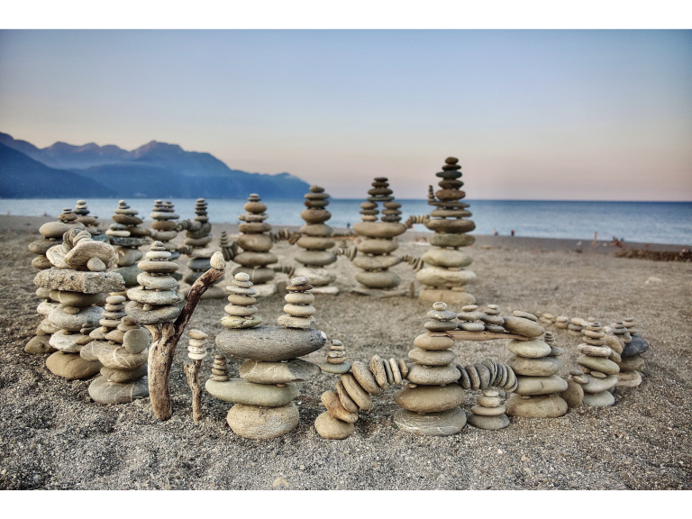 Exmouth Art Weekend (Nature Workshops)