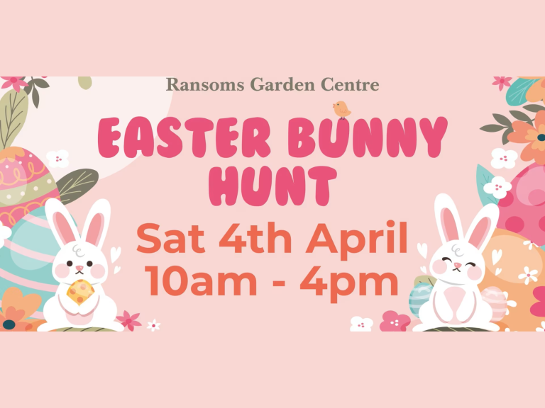 Ransoms Easter Bunny Hunt