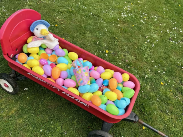 Peter Rabbit and Egg Trail