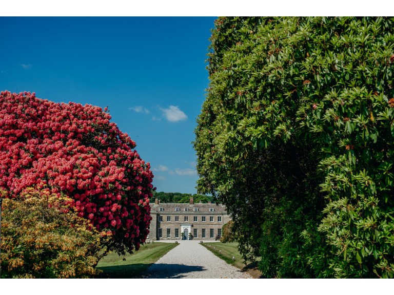 Boconnoc Open Garden 2026