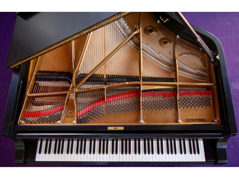 Charity Concert by the Capriccio Ensemble