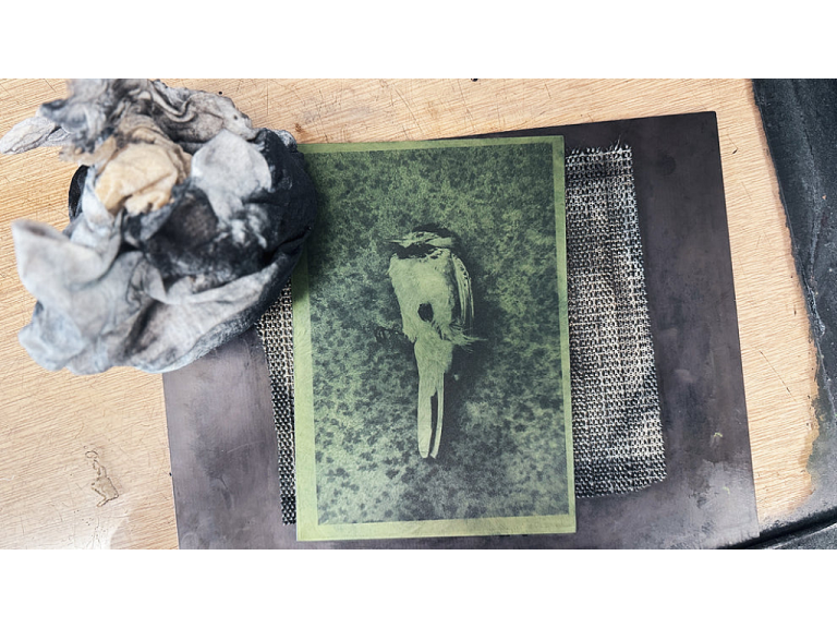 Creative Inking Techniques in Photopolymer - Masterclass with Bev Hayes