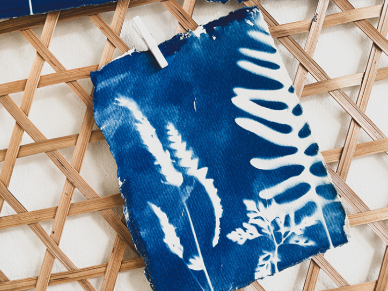 Cyanotype Printmaking: Botanical Postcards 