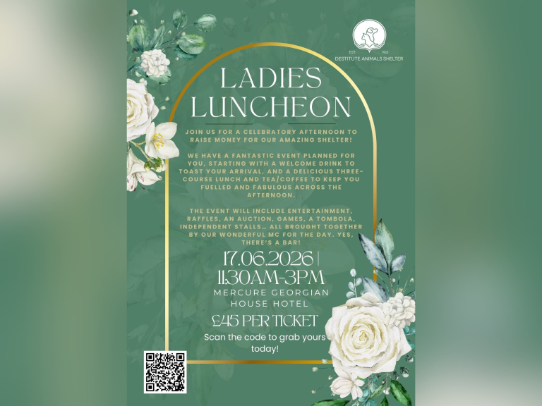 Ladies Luncheon for Destitute Animals Shelter