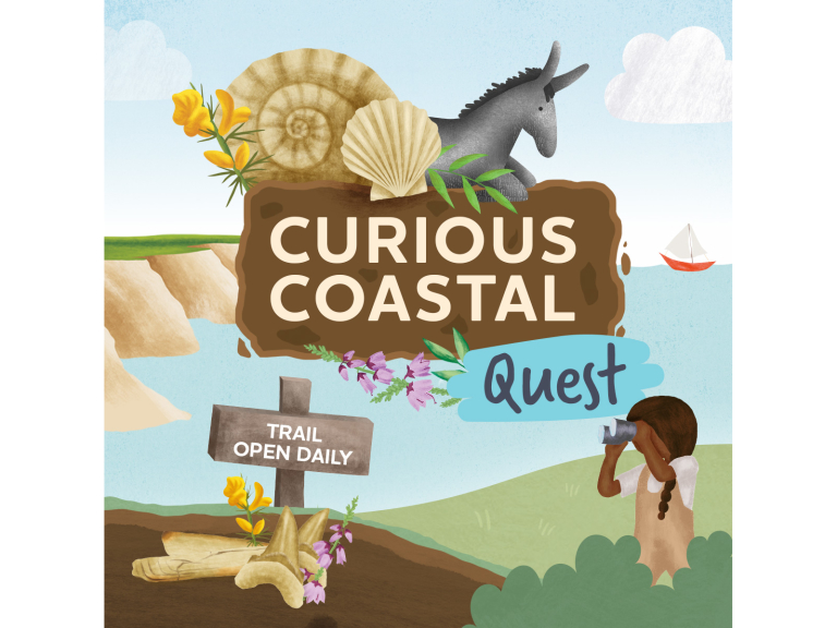 Curious Coastal Quest 
