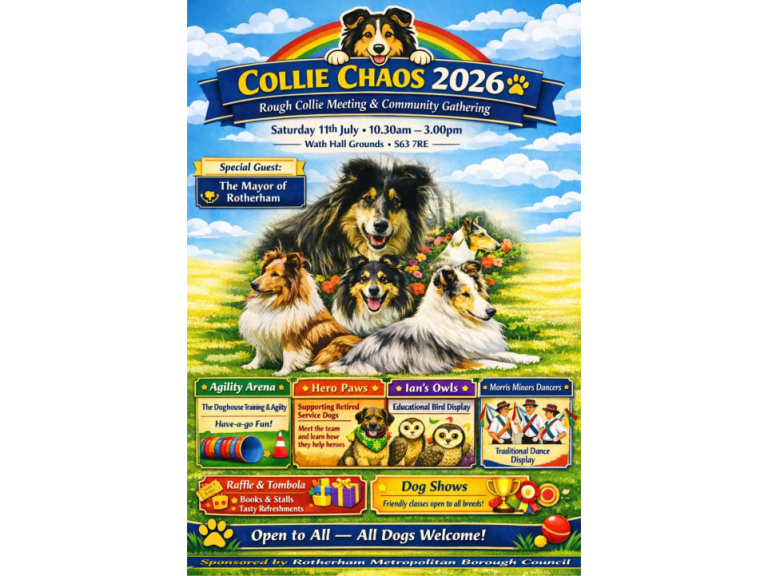 Collie Chaos 2026
