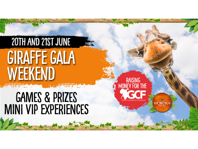 Giraffe Gala Weekend 20th - 21st June