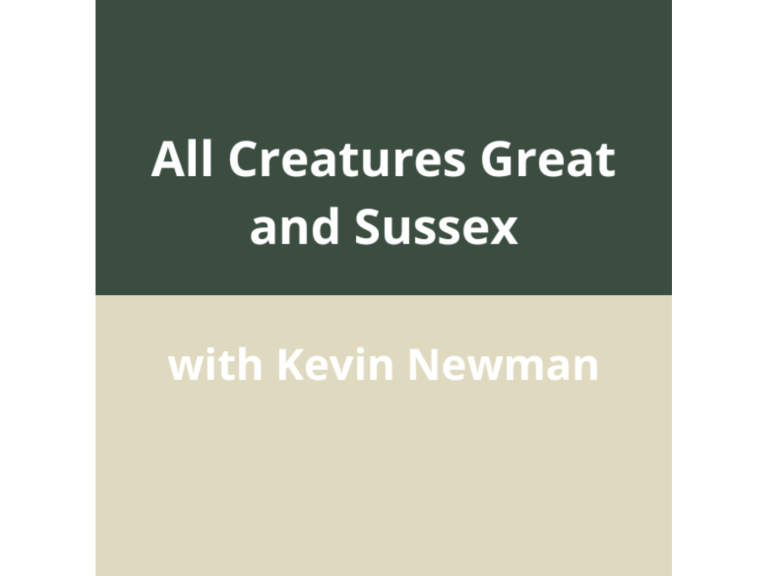 All Creatures Great & Sussex – A Family Talk on Animals from Sussex’s Past