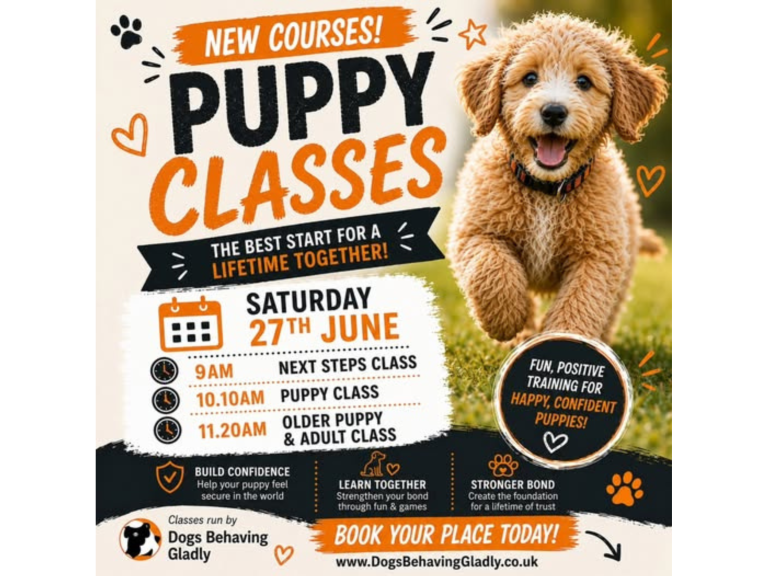 NEW Puppy Classes Are Here - The Empawrium! 🎉🐶