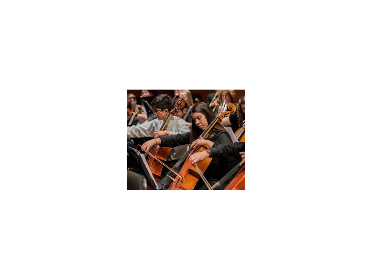 Youth Orchestra of San Antonio