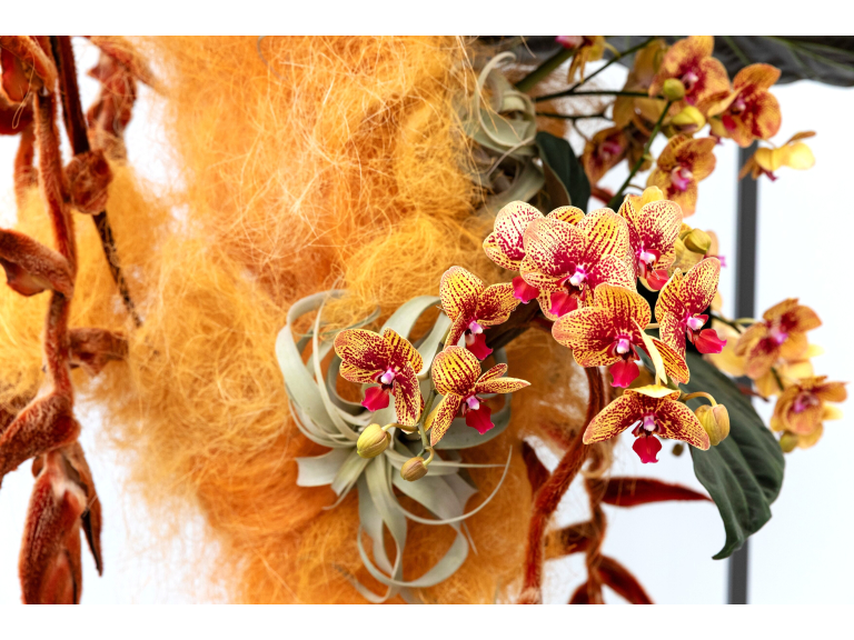 NAFAS Floral Art Show 