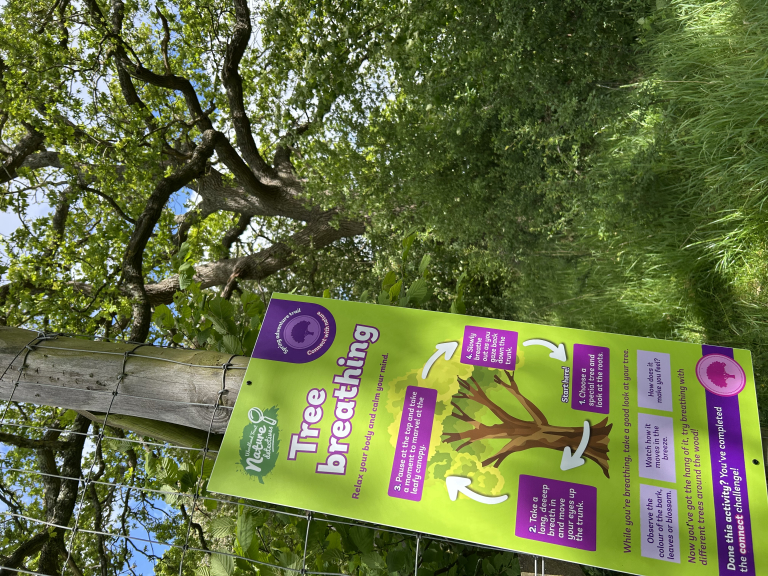 Summer Adventure Trail at Langley Vale Wood