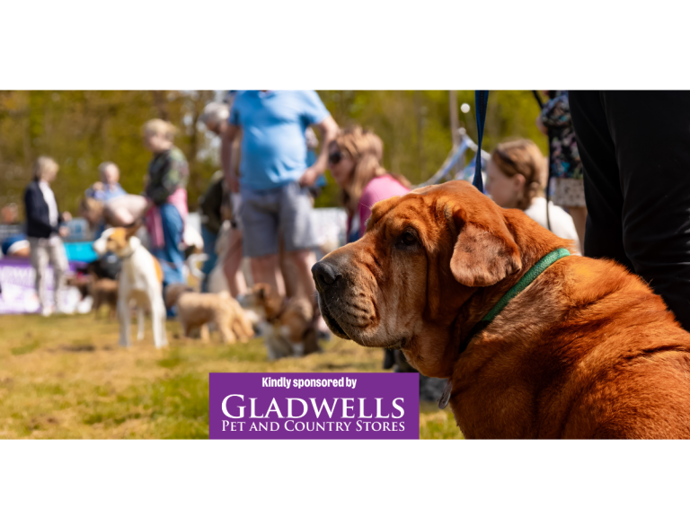 Martlesham Open Day & Fun Dog Show