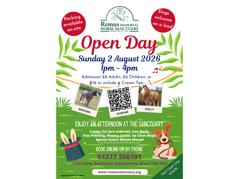Open Day at Remus Memorial Horse Sanctuary