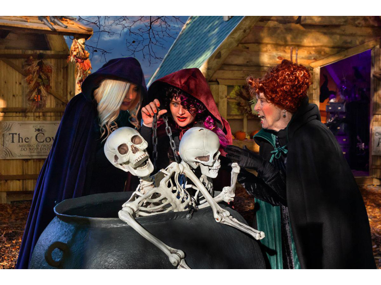 Hocus Pocus Halloween