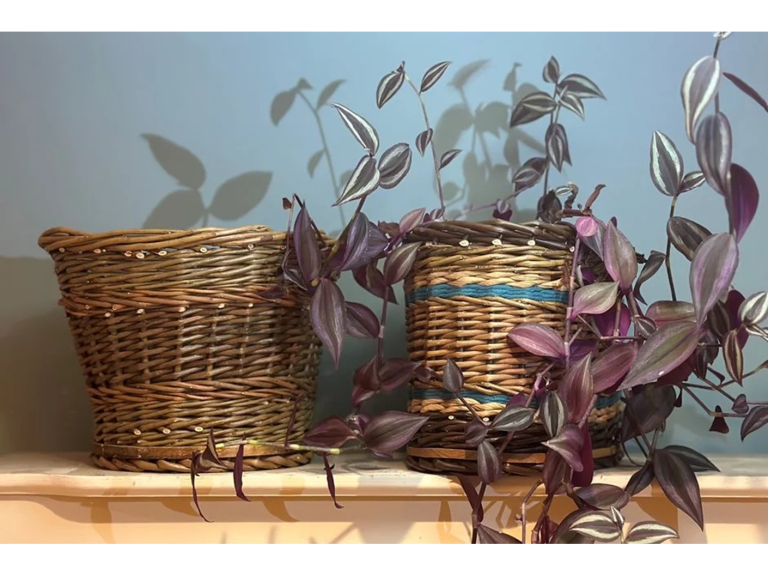 Make a willow planter