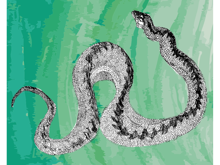 Seeking Serpents: A Secret Garden Trail