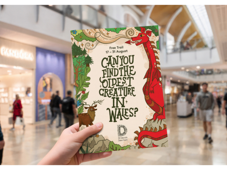 St David’s Cardiff to host storytelling trail and workshops with Welsh author