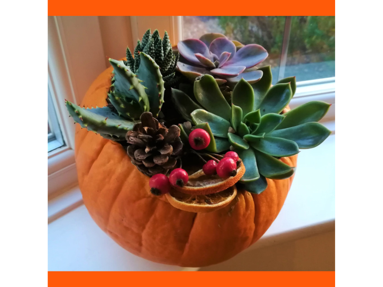 🎃🌿 Pumpkin Planter Workshop with Floral Jazz 🌿🎃
