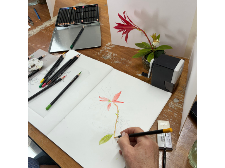 Botanical Illustration Workshop