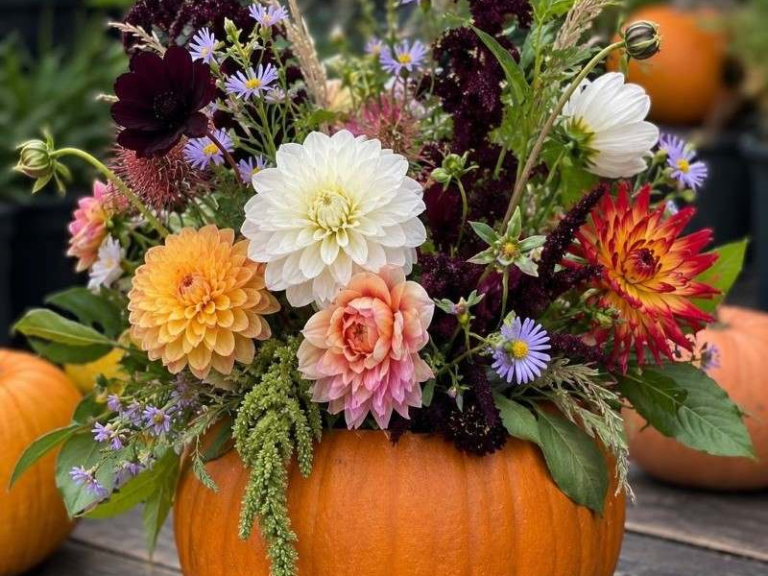 Autumn Dahlia Centrepiece Masterclass with Anna Brian