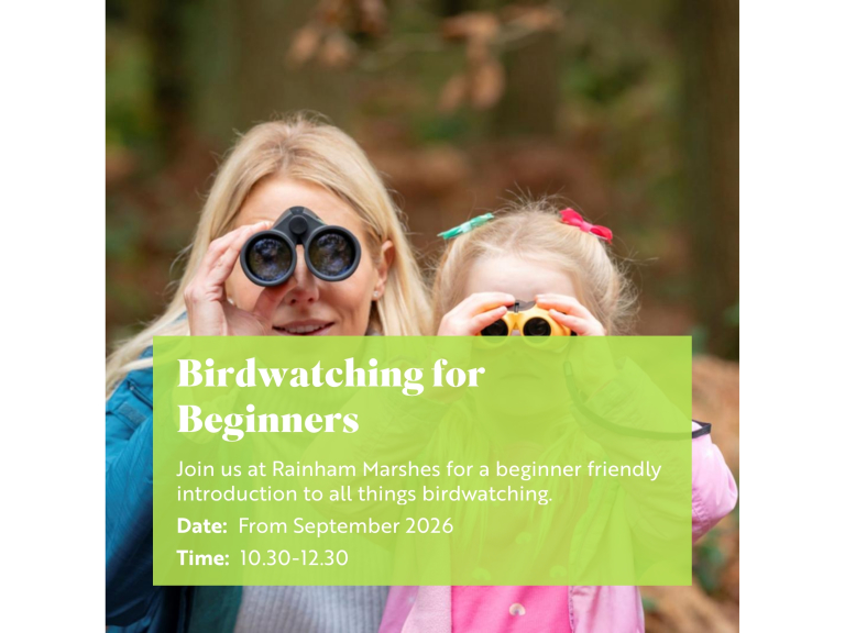 RSPB Rainham Marshes Birdwatching for Beginners