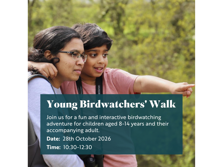 RSPB Rainham Marshes Young Birdwatchers' Walk