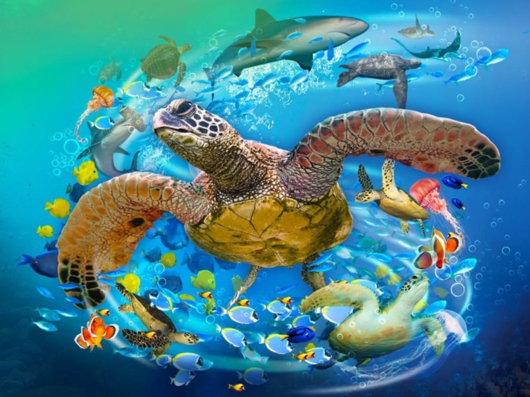 SEA LIFE Manchester Aquarium
