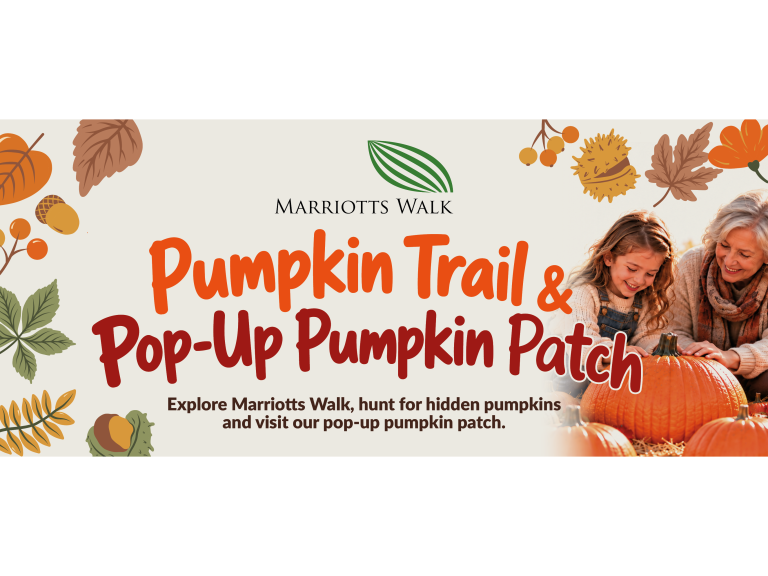 Pumpkin Trail & Pop Up Pumpkin Patch