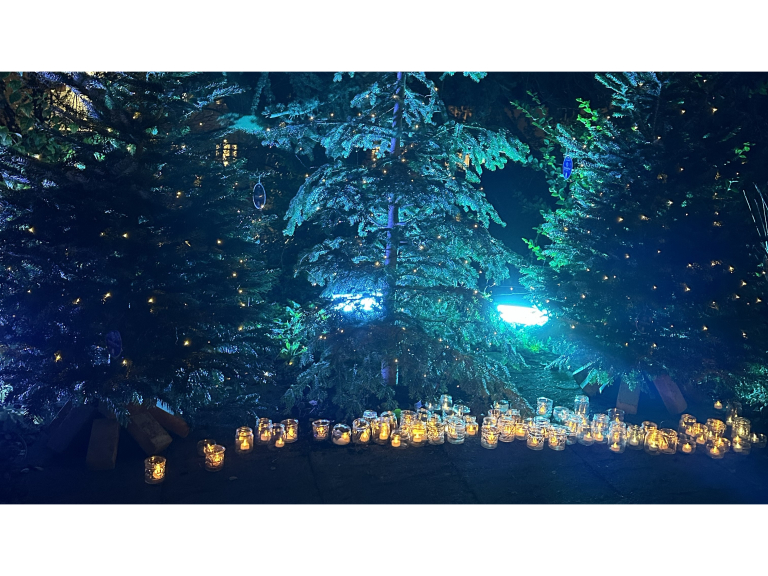 Lights of Life 2026