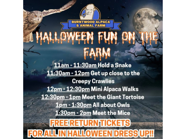 🎃 👻 Halloween at Burntwood Alpaca and Animal Experiences 🦙 🕷️