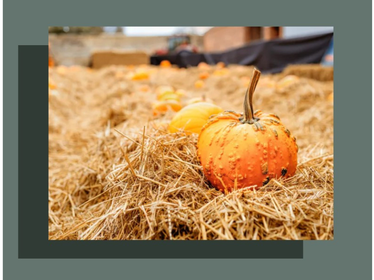 Halloween: The Duke's Magical Maze & Menagerie At Boughton House