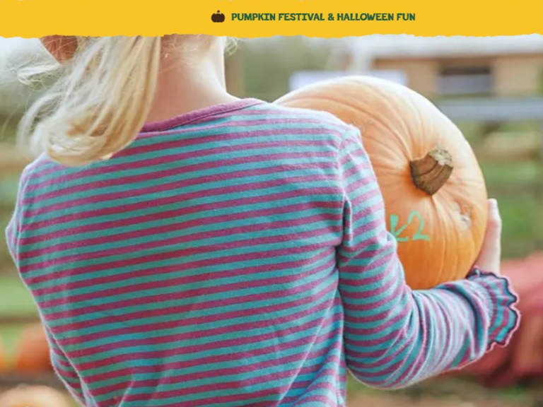 The Pumpkin Patch Festival At West Lodge