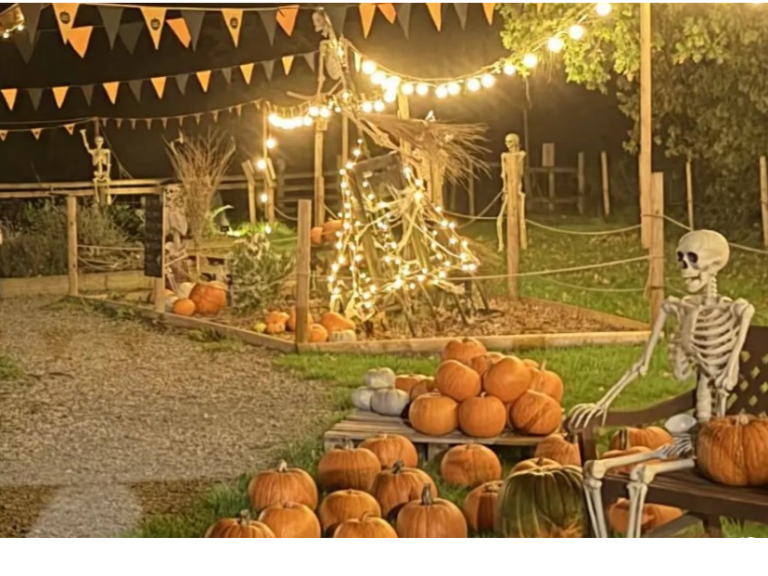 Pumpkin Party Night At West Lodge