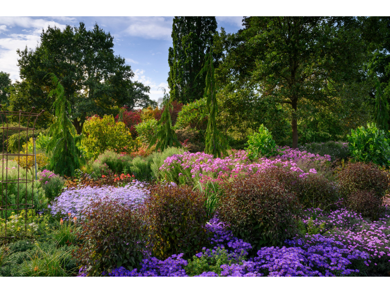 Evening Online Talks from RHS Garden Wisley
