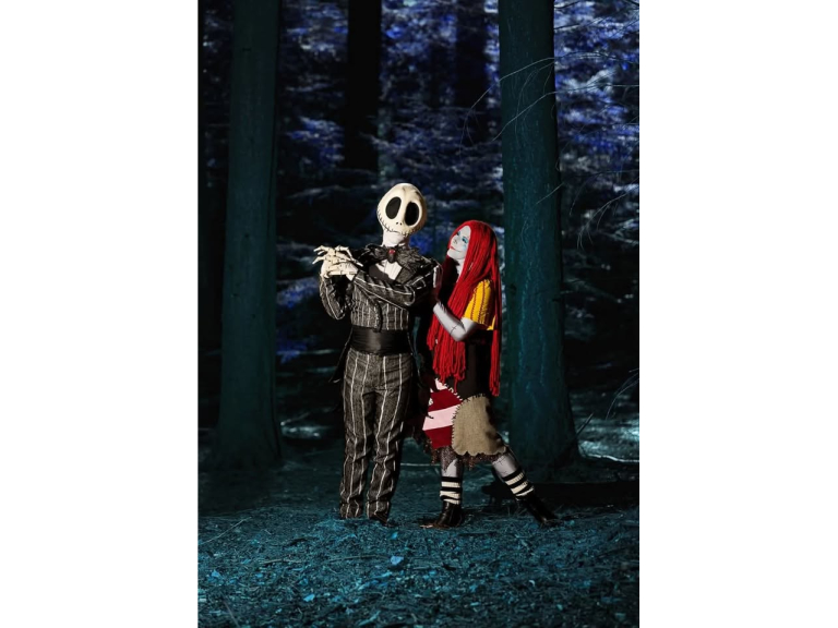 A visit from the Pumpkin King and Halloween Ragdoll