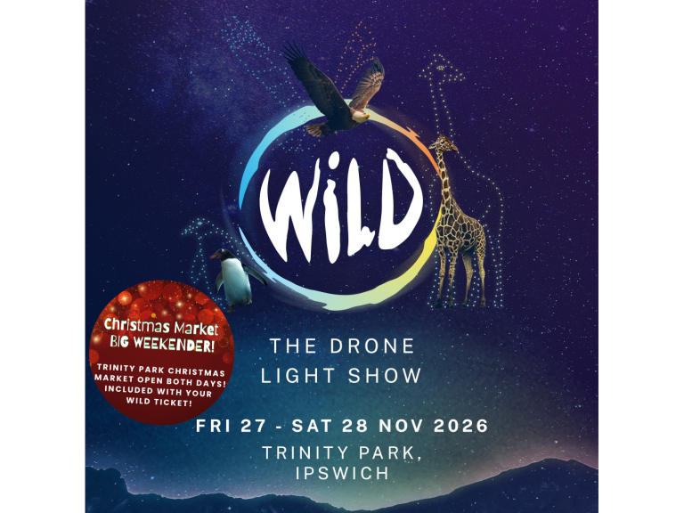 Drone Light Show