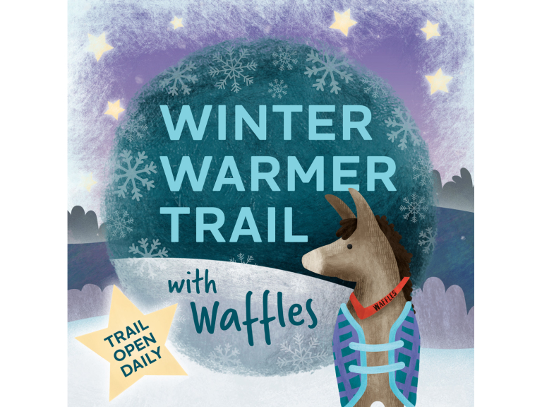 Winter Warmer Trail with Waffles