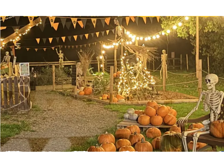 Pumpkin Party Night at West Lodge Rural Centre