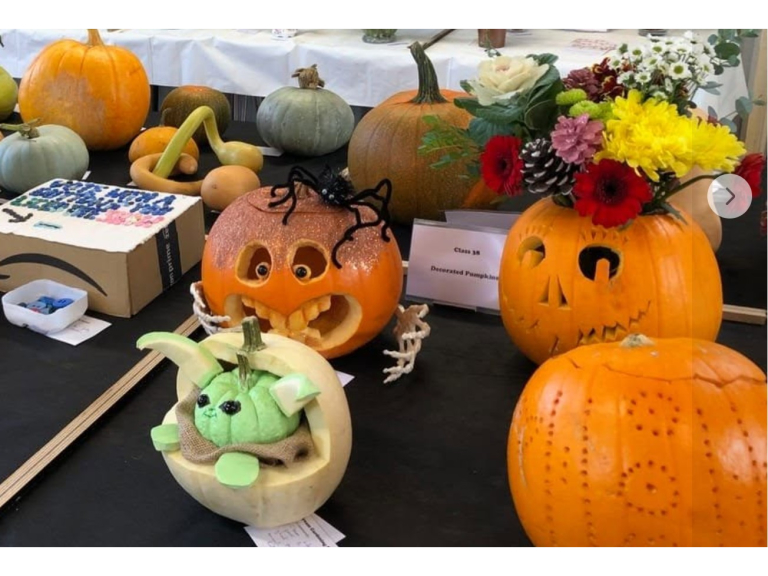 Bream Autumn Show