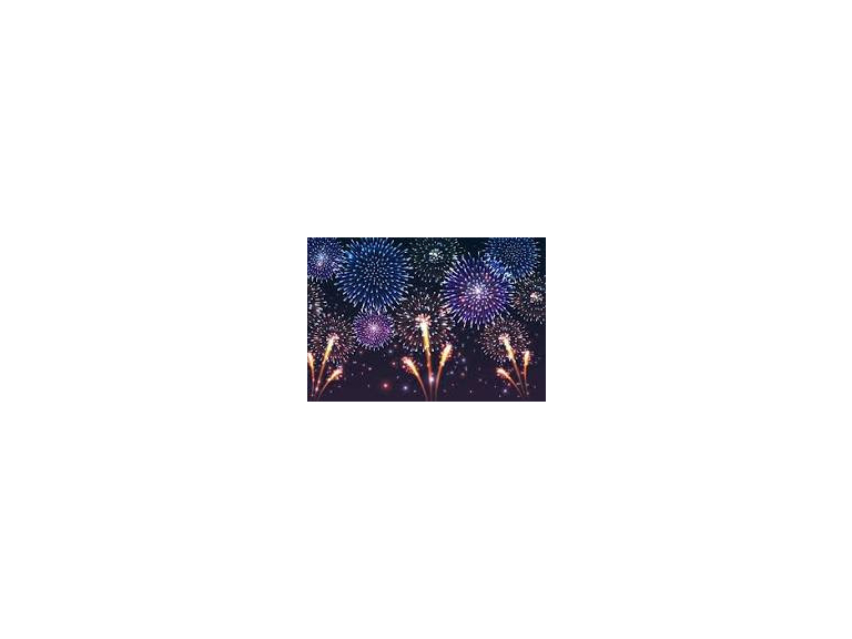 Wyvern Firework Display
