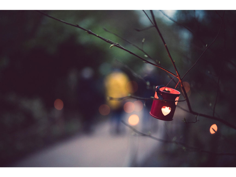 Lantern Walk 